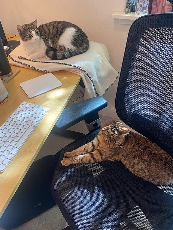 Sysdig’s Karen Walker kittens