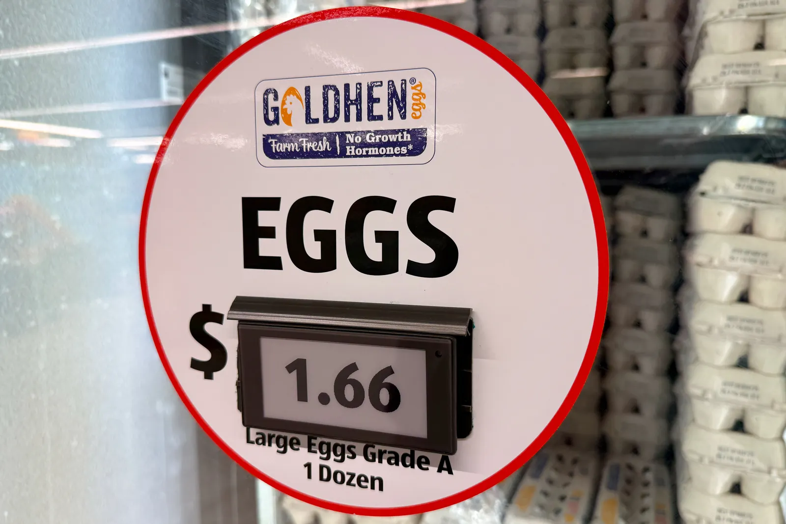 A close-up of a grocery store sign circled in red highlights the brand label "Goldhen." The word "EGGS" is prominently displayed, with a digital price of "$1.66" below it. The sign also reads, "Large Eggs, Grade A, 1 Dozen," while blurred stacks of egg cartons appear in the background.