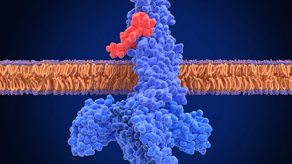 The glucagon like peptide-1 receptor (GLPr) is a G protein–coupled receptor (GPCR)The activated receptor has a strong effect on the management of type 2 diabetes mellitus and obesity.