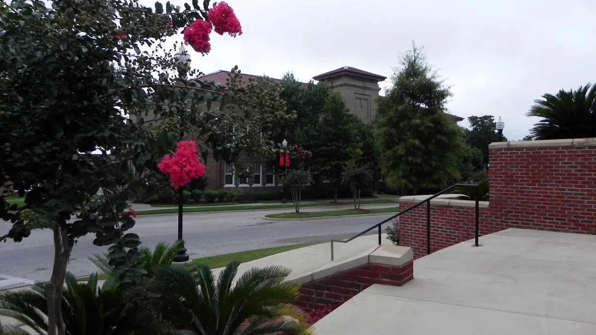 An academic building is seen framed between plants and stairs.