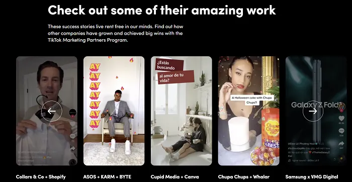 TikTok Marketing Partners