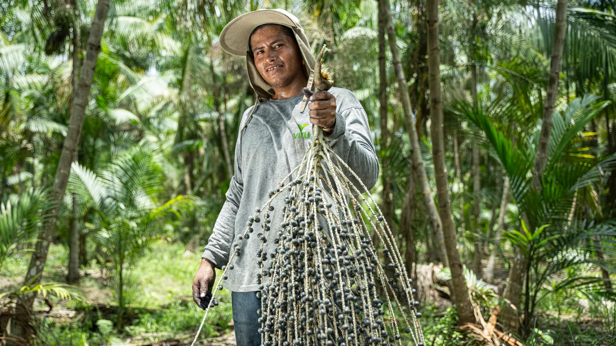 Acai worker holding plant.