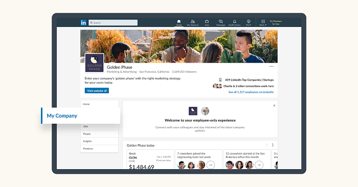 LinkedIn My Company tab