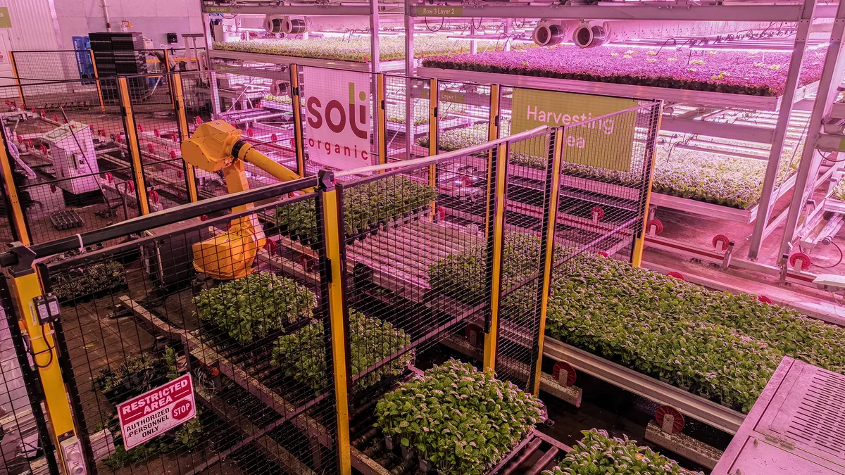 Several pallets of greens are on conveyor belts and stacked in a metal structure inside Soli Organic's indoor Biofarm in Elkwood, Virginia