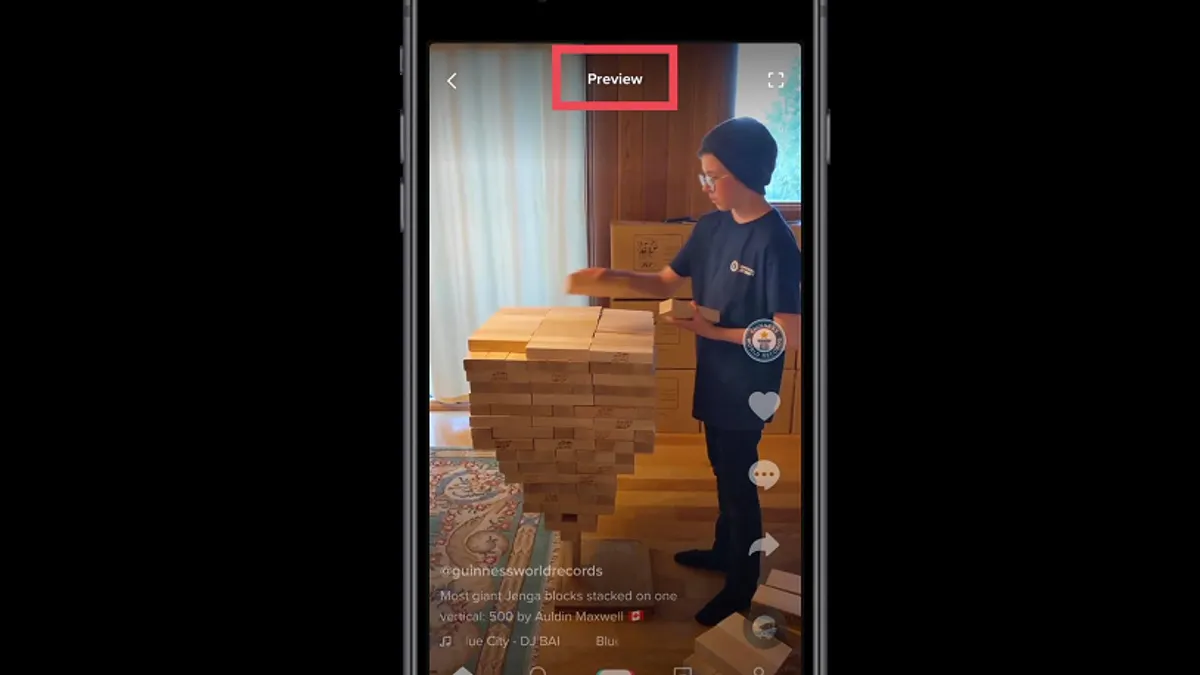 TikTok preview