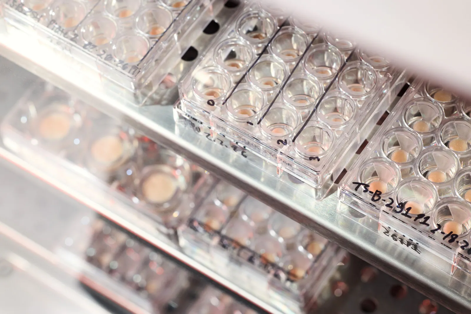 Skin tissue incubators in Outer Bio's labs.