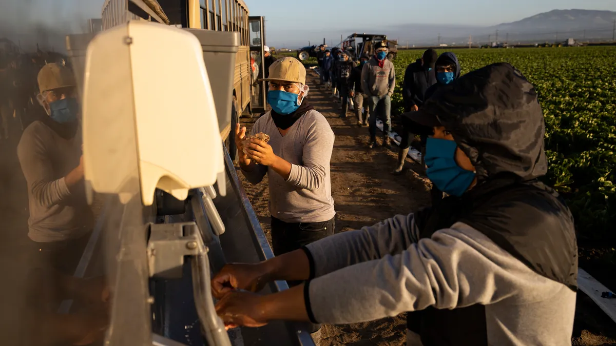 Two men with masks wash their hands on a farm with a line of workers behind them