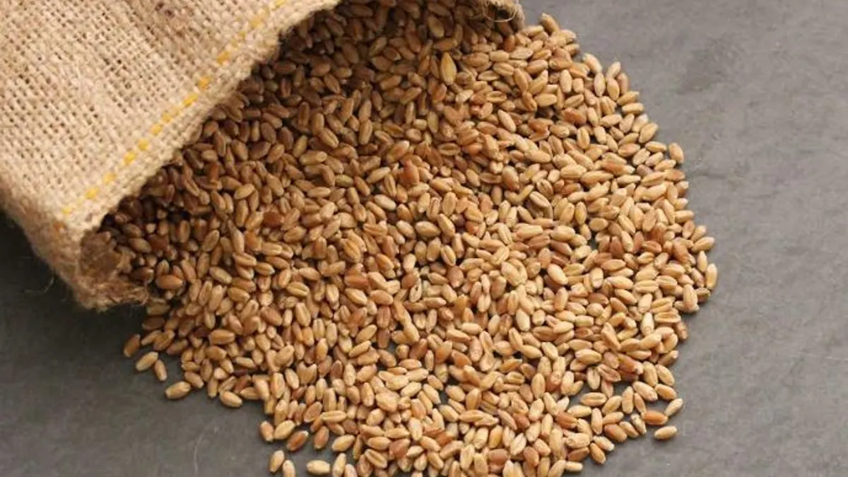 Sustainable Seed Co.