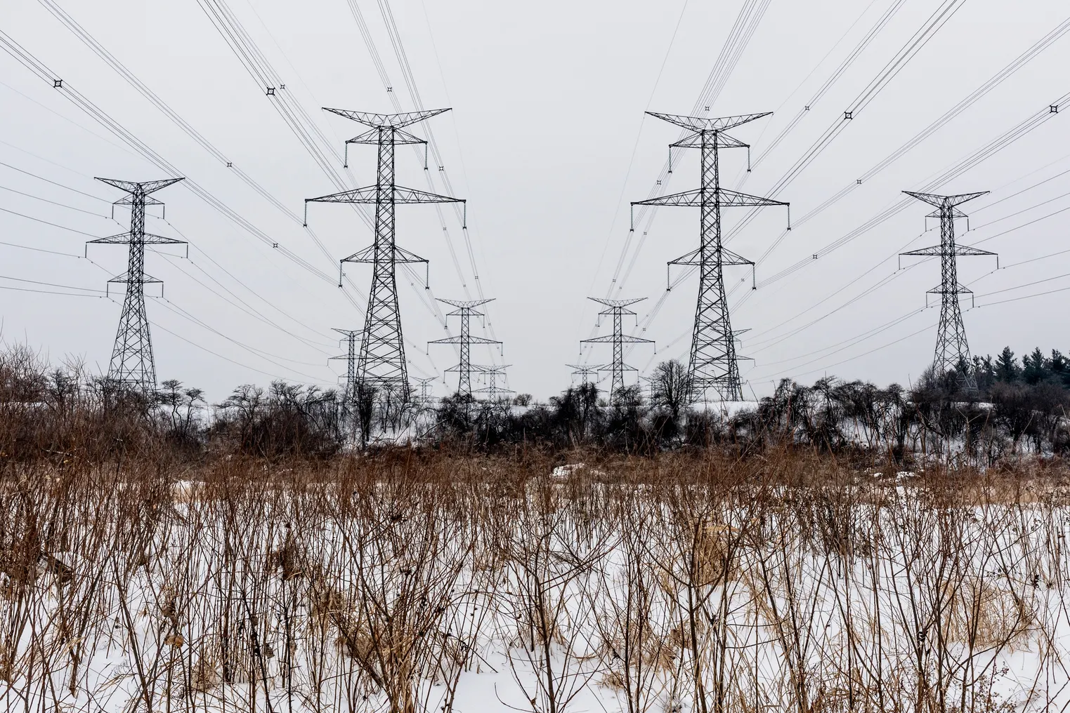 Electric power lines cross a snow-covered field.