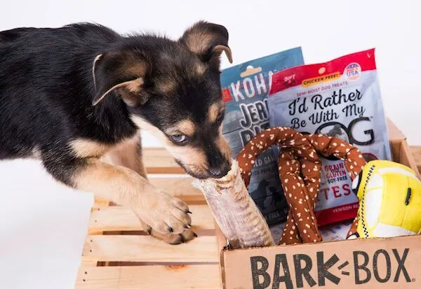 Barkbox Go Mango The bite in BarkBox's retail gameplan | Retail Dive