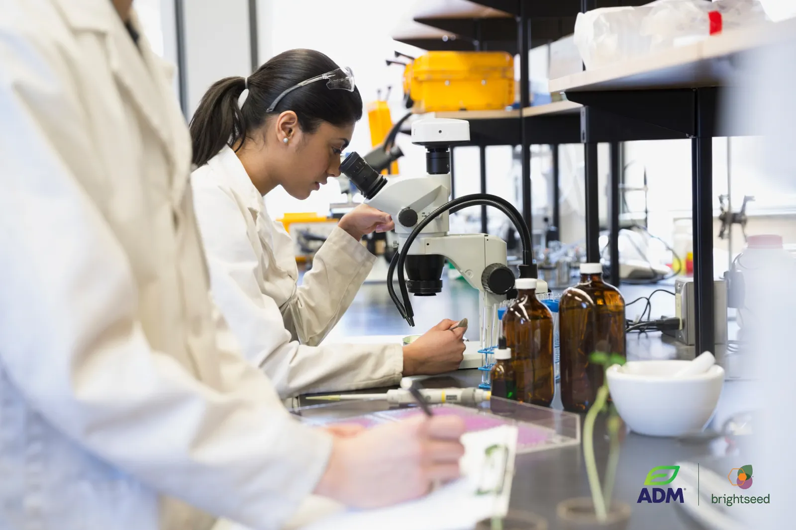 adm brightseed AI ingredients