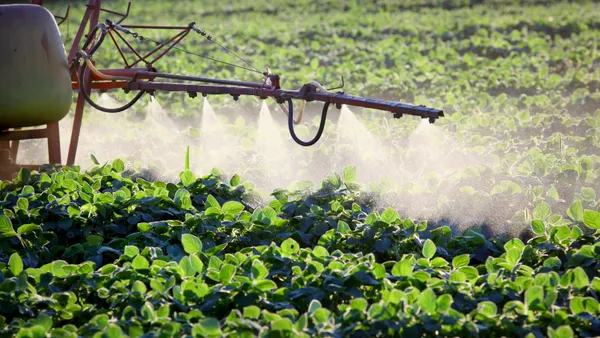 A herbicide sprayer is seen on a soybean field