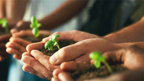 Plant, sustainability and environment with hands of business people.