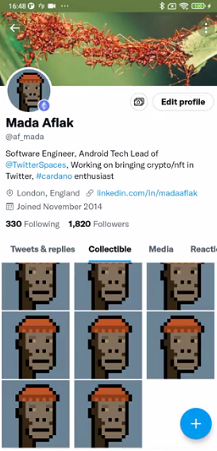 Twitter NFT display options