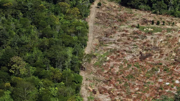 An aerial photo shows an area of trees next to an area where trees have been removed.