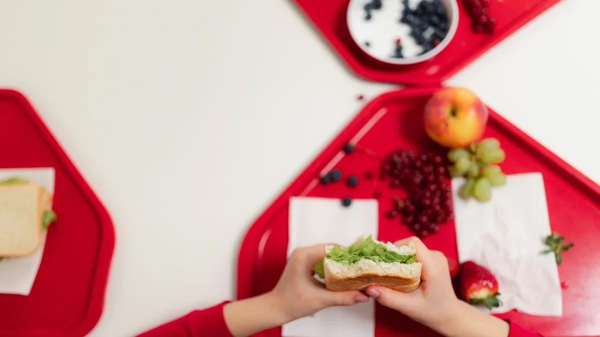 A students hands are shown holding a sandwich above a red school lunch tray.