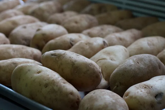 Simplot Gmo FDA greenlights second gen Simplot 'Innate' GMO potato | Food Dive