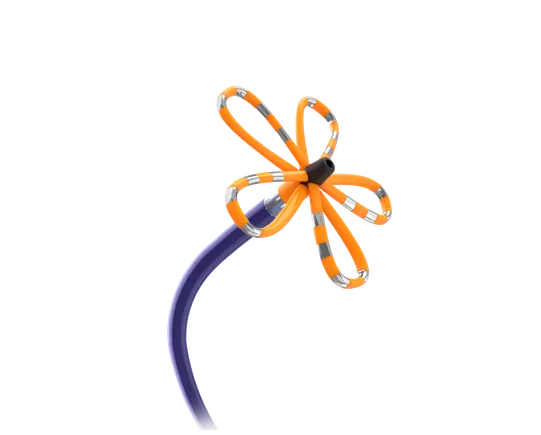 Boston Scientific aims for market leadership in electrophysiology