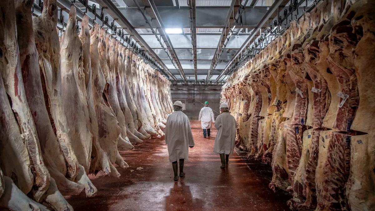 Three USDA inspectors in hard hats and long white jackets pass through an aisle of hanging animal carcasses.