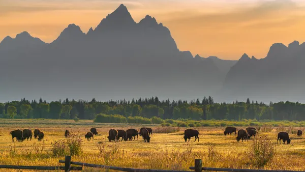 Wyoming stable token cryptocurrency state government