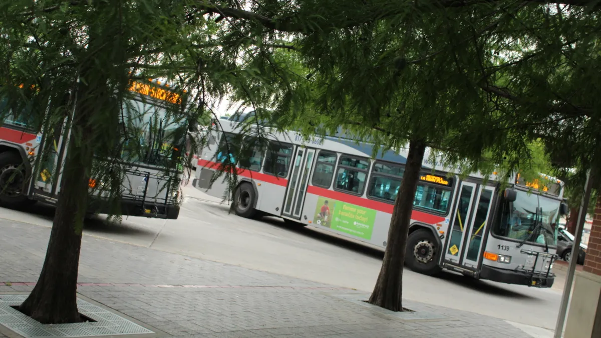 Two transit buses painted gray with an orange stripe stopped on a street behind two trees.