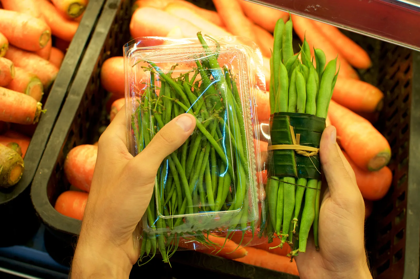 Hands holding beans bundled in a plastic package and other beans wrapped in banana leaf