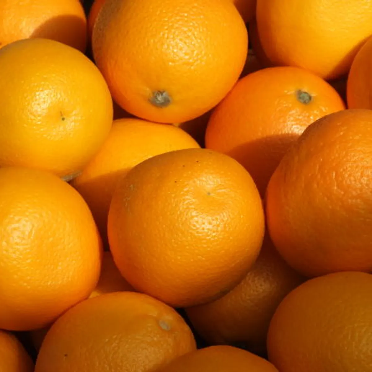 Paramount Citrus Logo