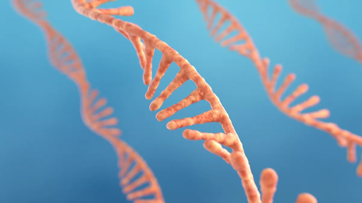 Single strand ribonucleic acid, RNA research
