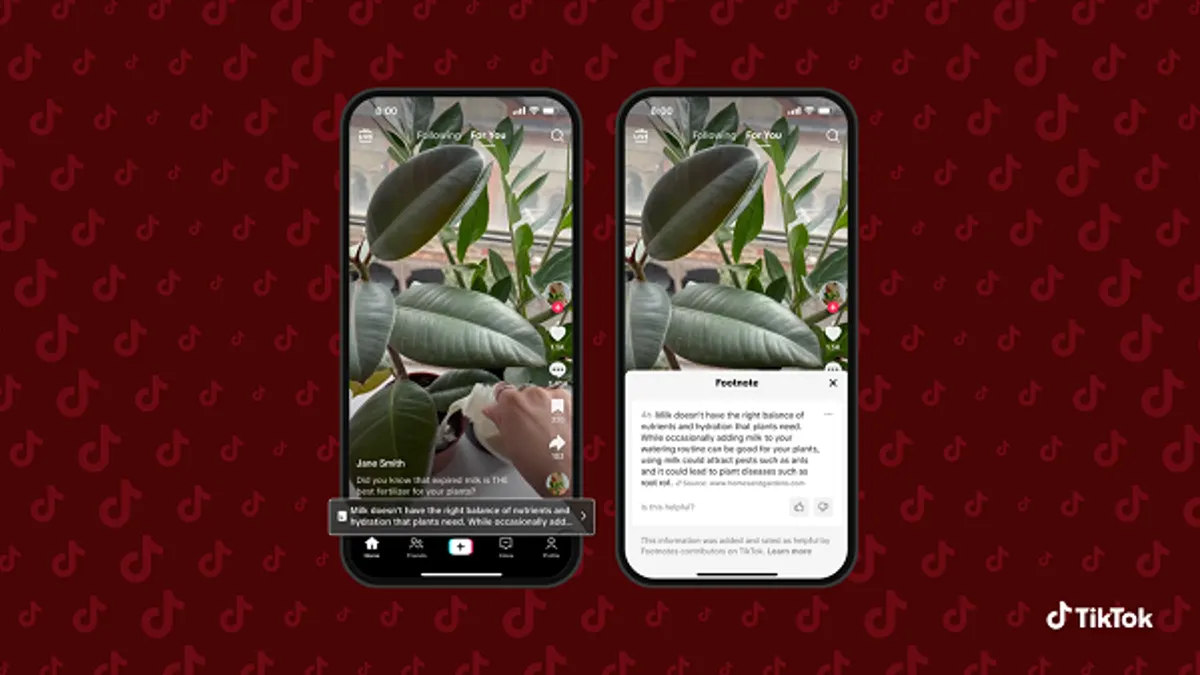 TikTok footnotes