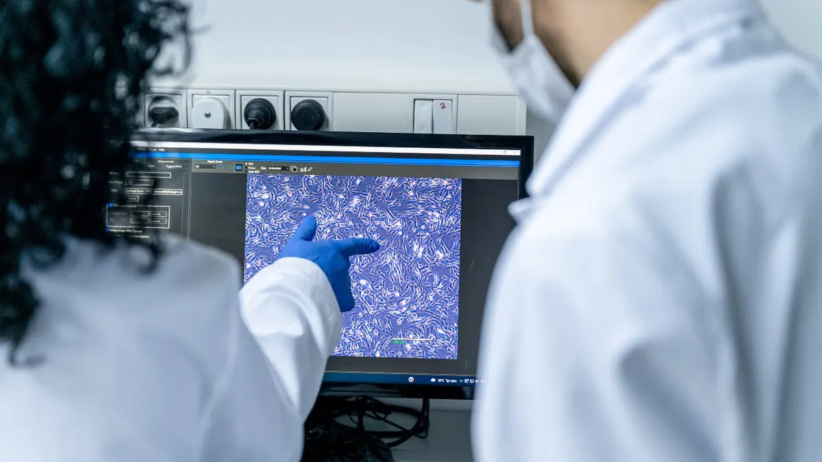 Aleph Farms scientists look at a screen of collagen-producing bovine cells.
