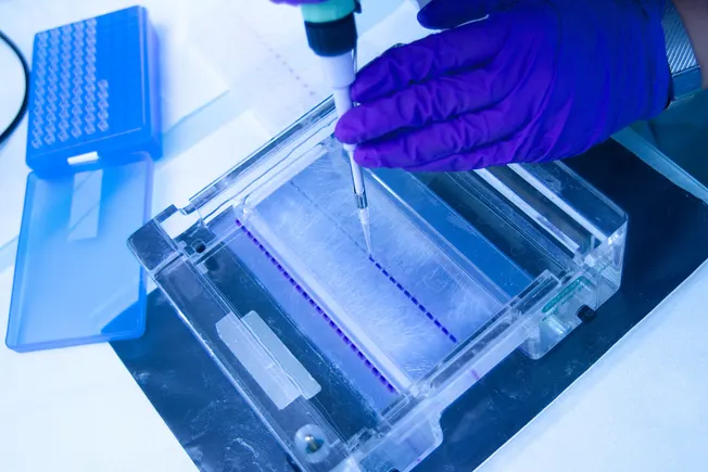 Merck takes a shot on Immune Design | BioPharma Dive