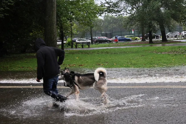 Facing extreme rainfall and flooding, NYC is turning Brooklyn's Prospect Park into a natural buffer