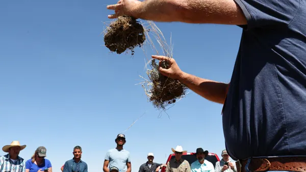 Farmer holds up two seedlings with root systems attached as a crowd looks on