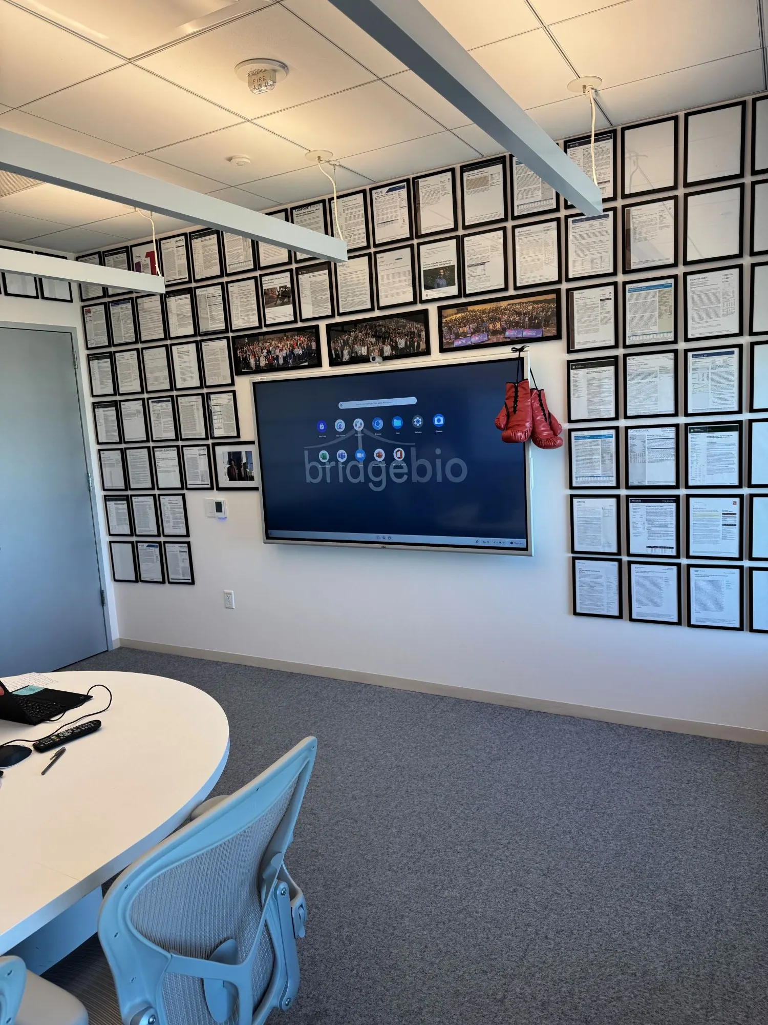 Several rows of framed, printed analyst notes hang from the walls of a conference room. In the middle, a screen shows the BridgeBio logo.