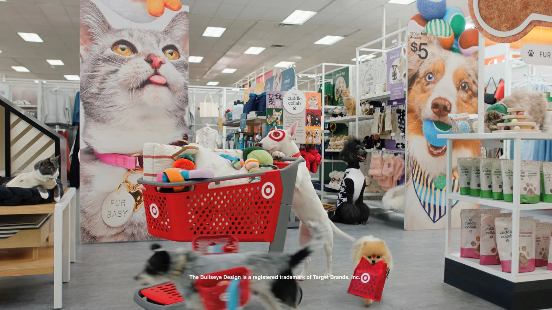 Target mascot Bullseye, the bull terrier, pushes a shopping car in one of the store's aisles.