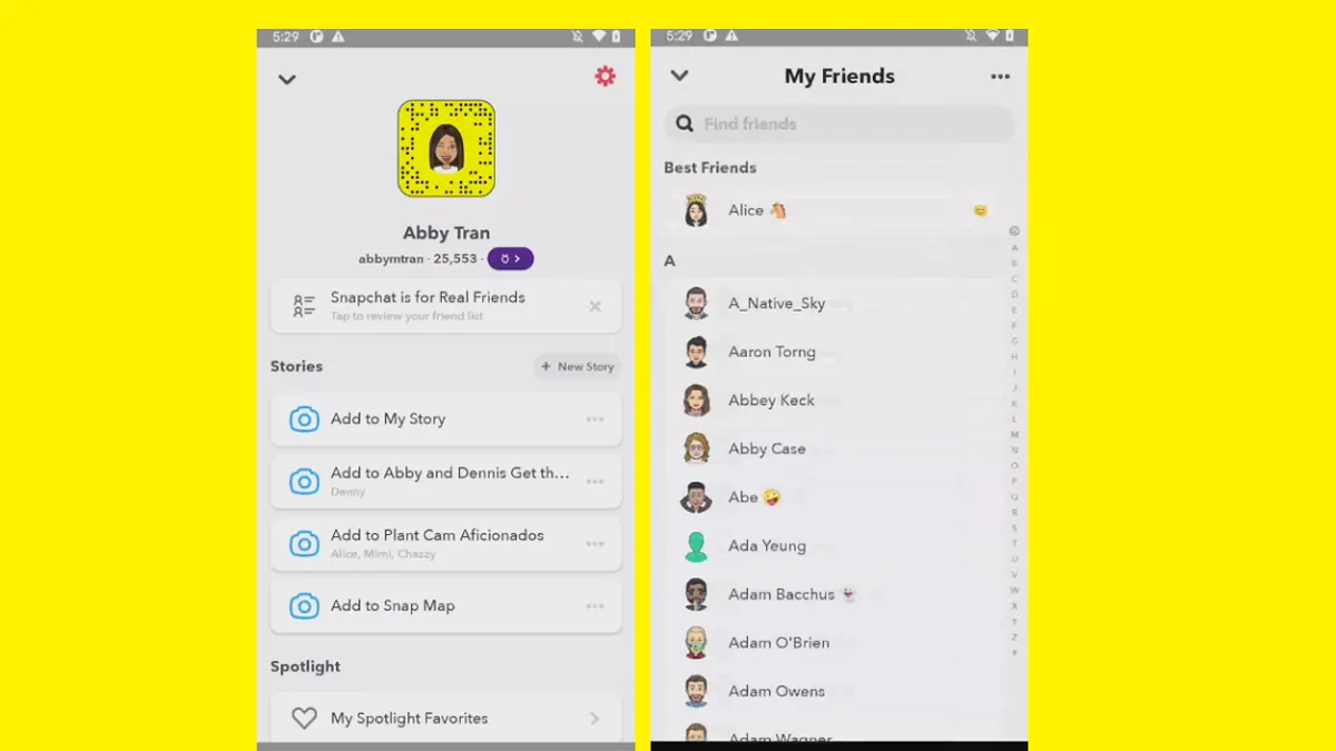 Snapchat friend check-up
