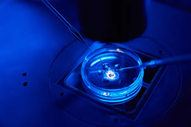 Reproductive health startup raises $65M for infertility drugs