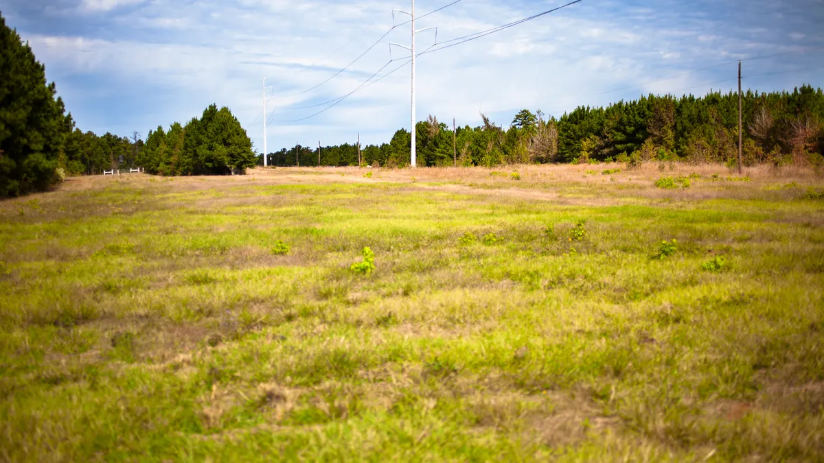 Power lines and utility poles cut through grove of trees in a rural part of Texas, USA.