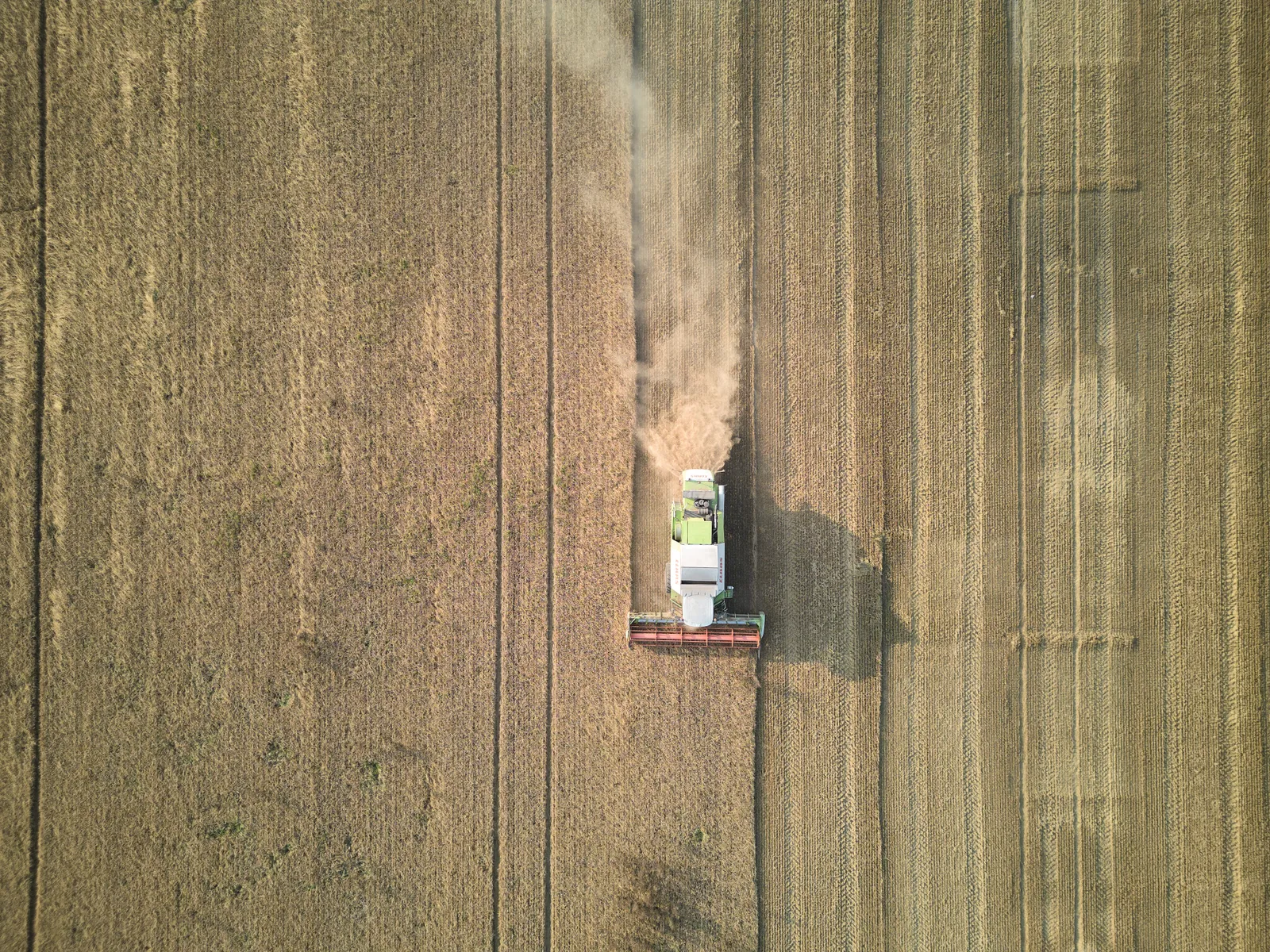 Aerial view of barley harvest