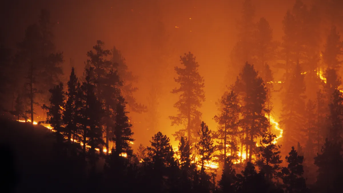 A forest glows as the fire burns out of control on a mountain hillside in the Pike National Forest behind