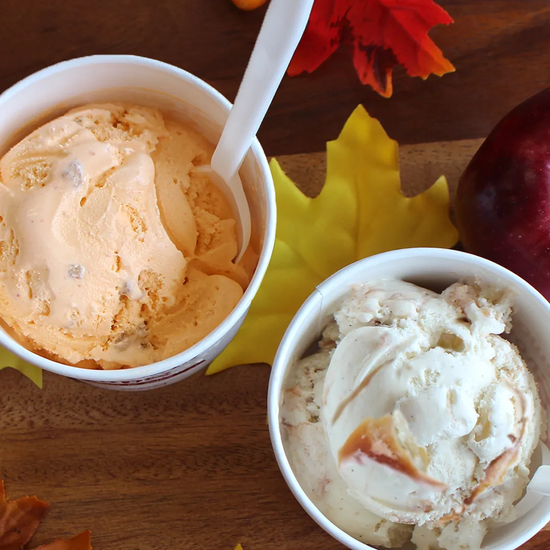 A photo of ice cream from Stewart&#x27;s Shops in two cups on a table with some fall leaves.