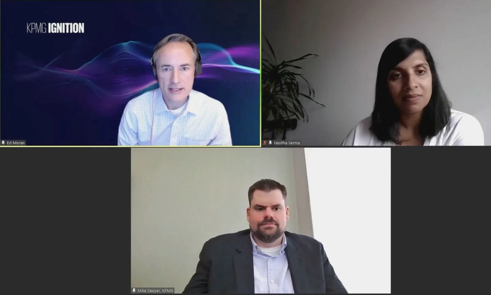 A screenshot of the virtual FEI conference session on AI in the audit.