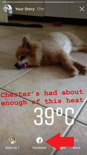 Instagram Stories cross-posting