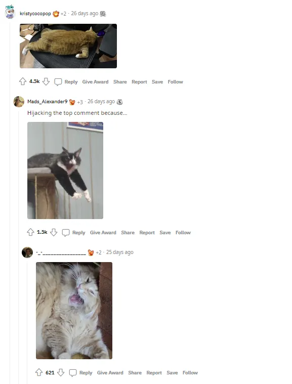 Reddit images in comments