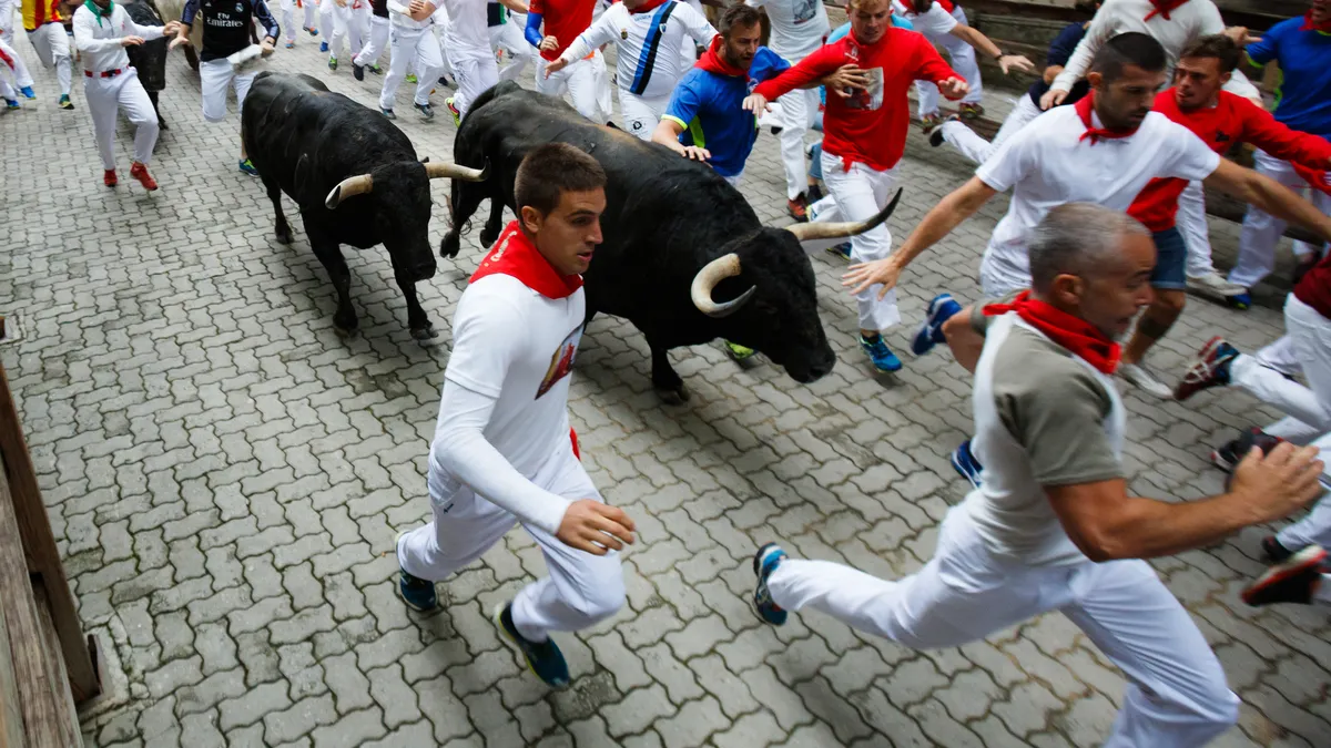 Bulls and people running on the street during the festival of San Fermin.