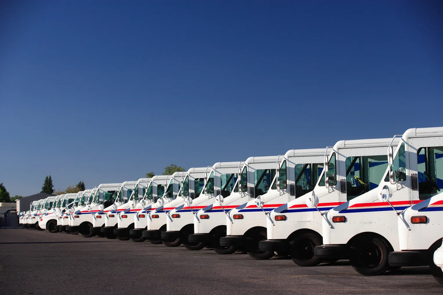 Postal Service trucks in a parking lot row.