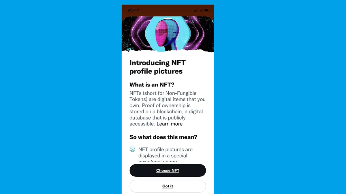 Twitter NFT profile