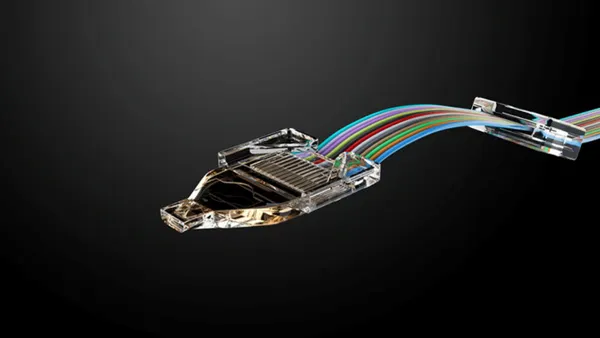 A multicolor cable with a black background.