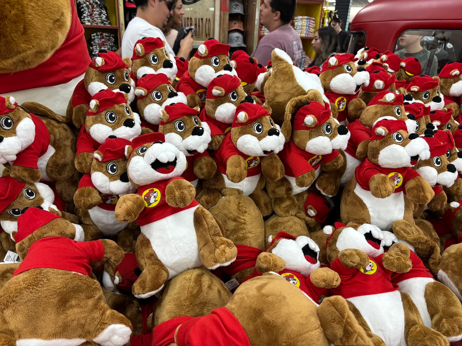 A photo of the interior of a large store. It's focused on a display of dozens of stuffed toys in the shape of a beaver in a red hat and cap.