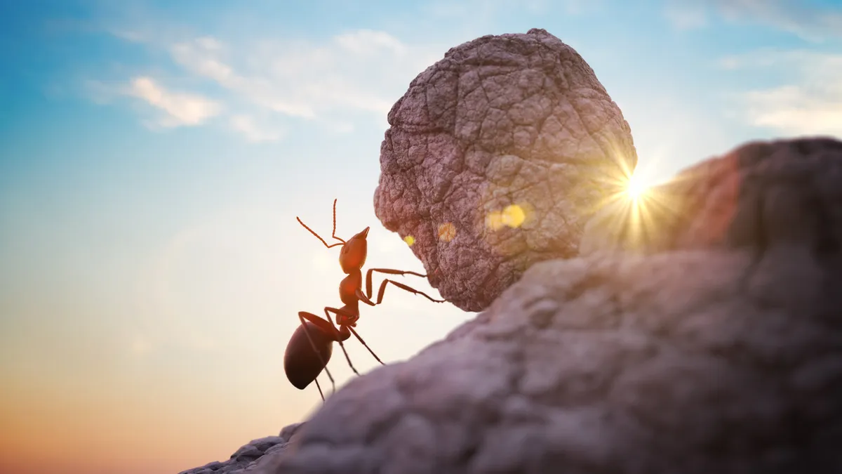 Worker ant pushing heavy boulder up hill.